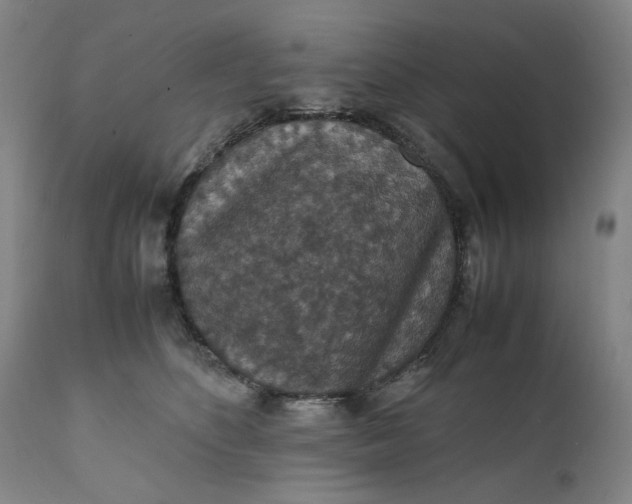 X0000112150516200908281343