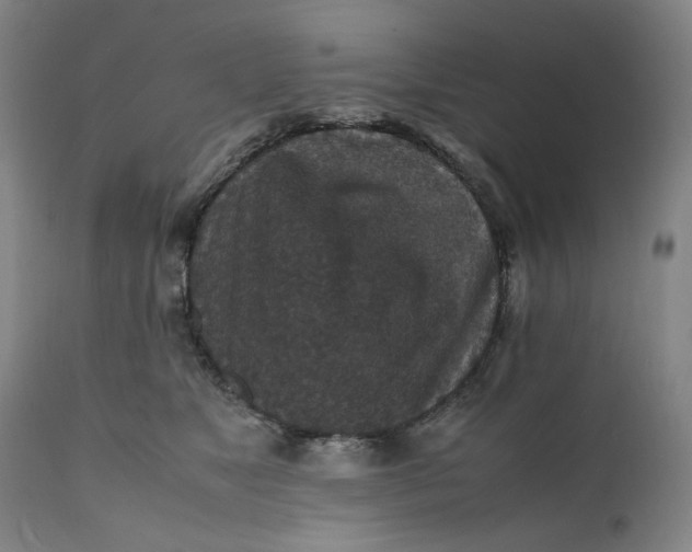 X0000112150517200908281343