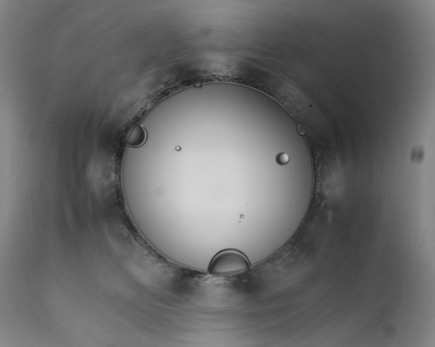 X0000112150518200908281343