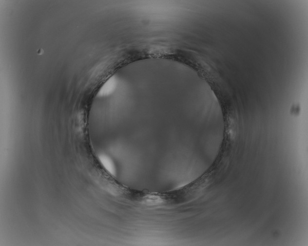 X0000112150519200908281343