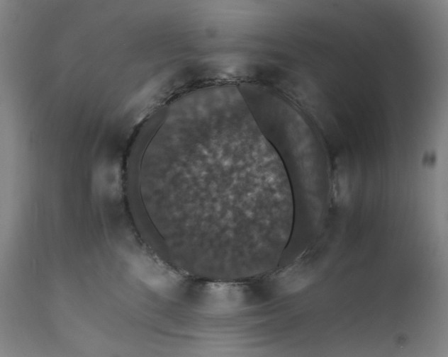 X0000112150520200908281343