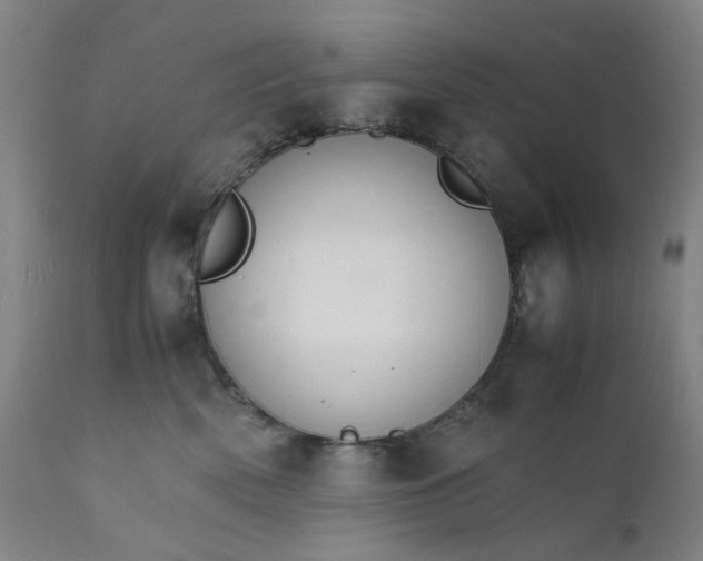 X0000112150522200908281343