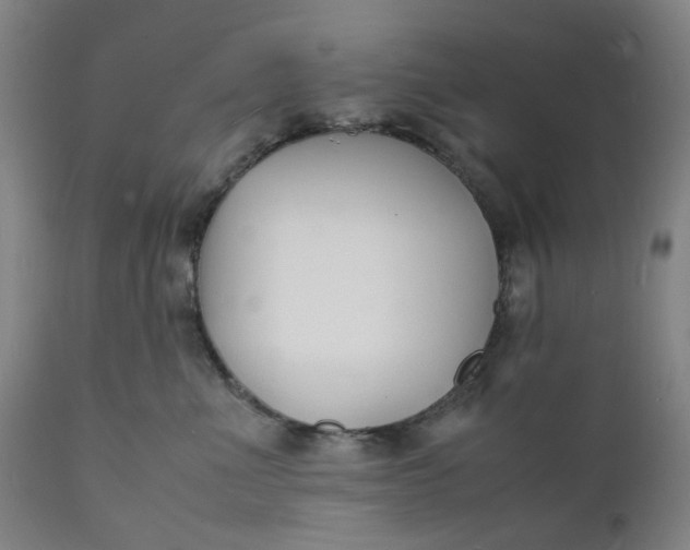 X0000112150523200908281343