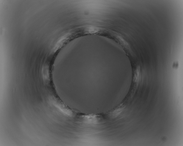 X0000112150524200908281343