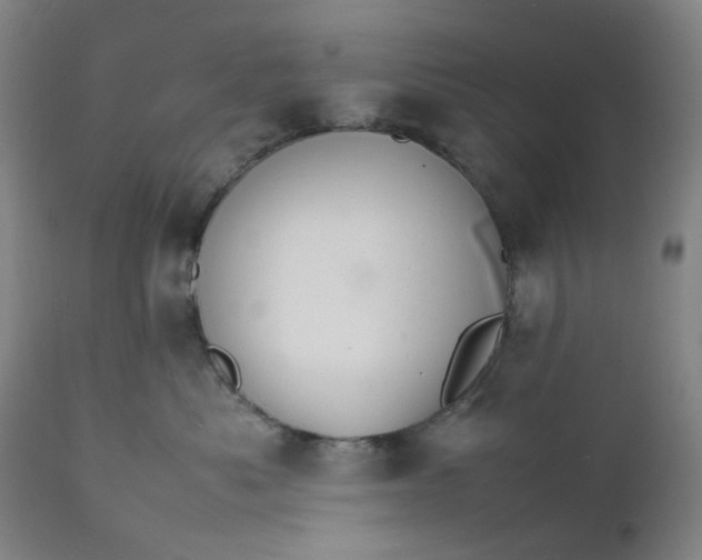 X0000112150525200908281343