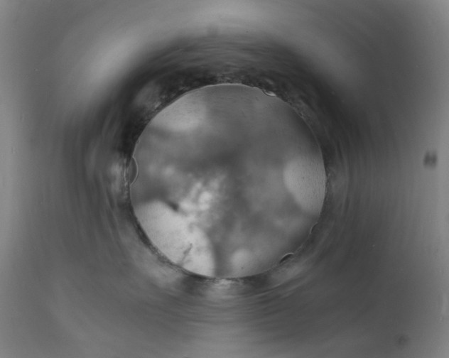 X0000112150527200908281343