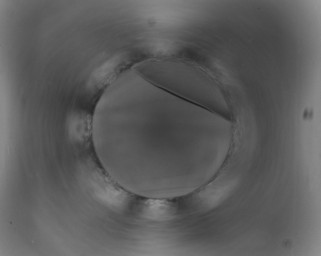 X0000112150528200908281343