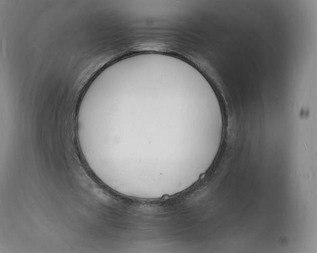 X0000112150529200908281342