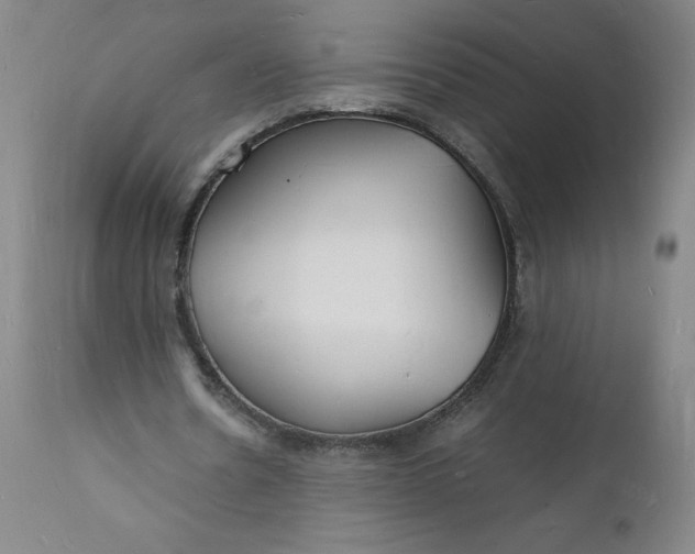 X0000112150530200908281342