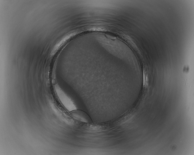 X0000112150531200908281342