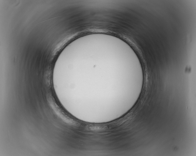 X0000112150533200908281342