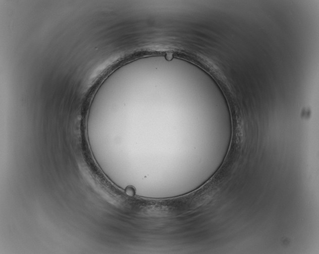 X0000112150535200908281342