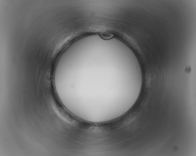 X0000112150538200908281342
