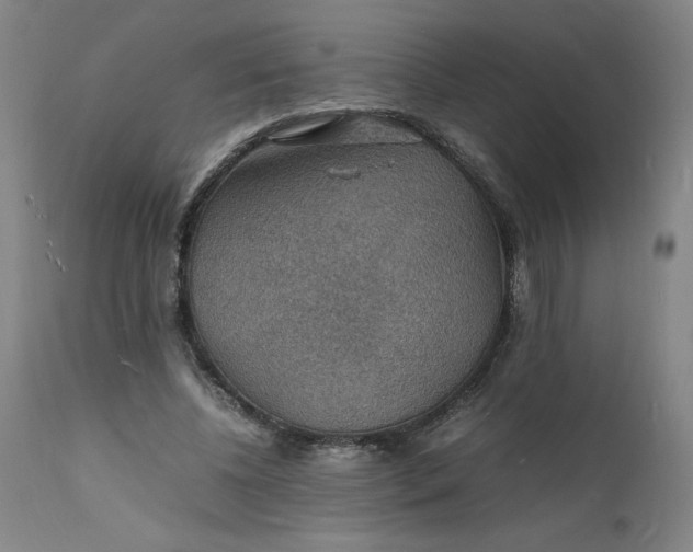 X0000112150540200908281342