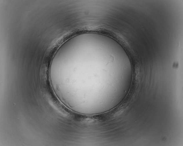 X0000112150542200908281342