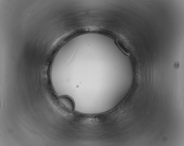 X0000112150543200908281342