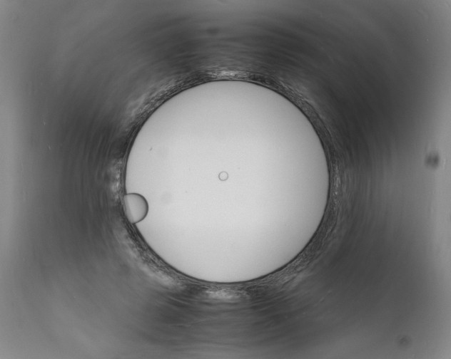 X0000112150545200908281342