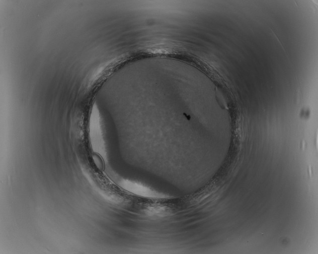 X0000112150547200908281342