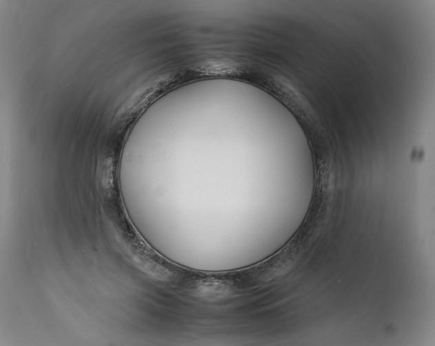 X0000112150549200908281342