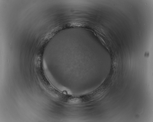 X0000112150551200908281342