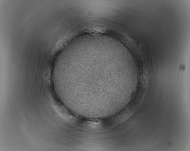 X0000112150552200908281342