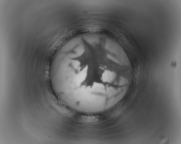 X0000112150553200908281342