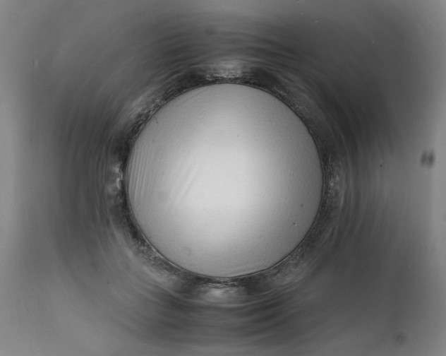 X0000112150555200908281342