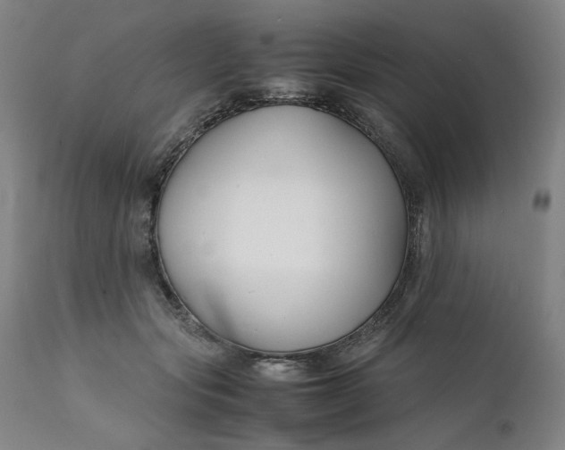 X0000112150557200908281342