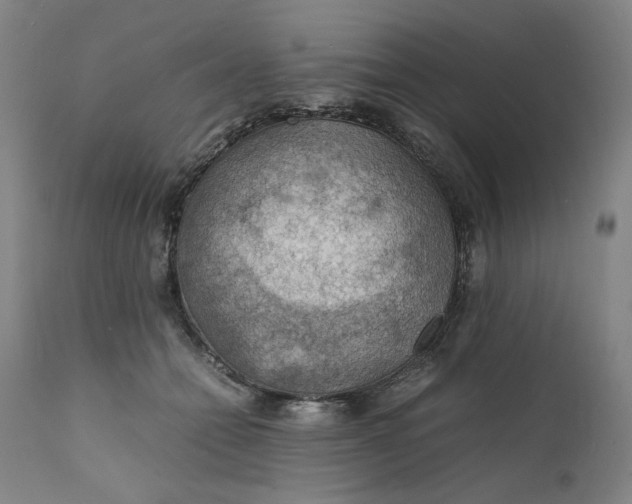 X0000112150558200908281342