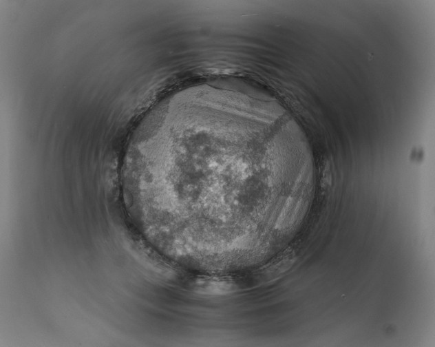 X0000112150559200908281342