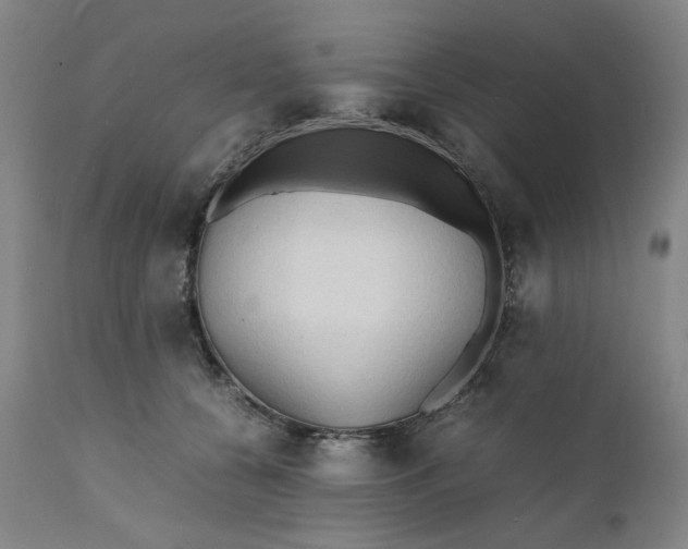 X0000112150560200908281342