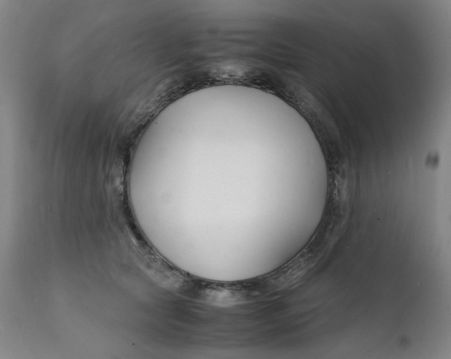 X0000112150561200908281343