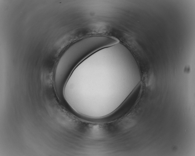 X0000112150564200908281343