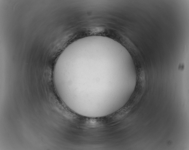 X0000112150565200908281343