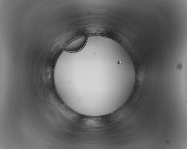 X0000112150567200908281343