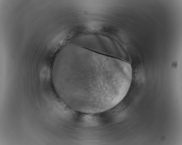 X0000112150568200908281343