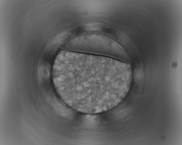 X0000112150570200908281343