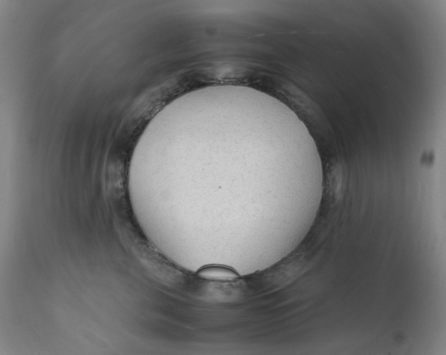X0000112150571200908281343