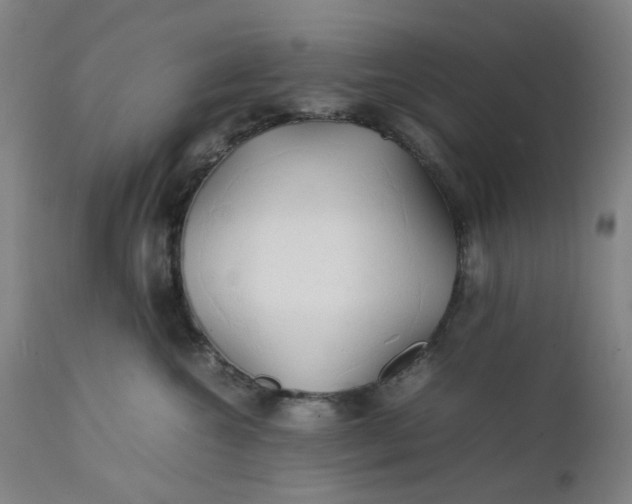 X0000112150572200908281343