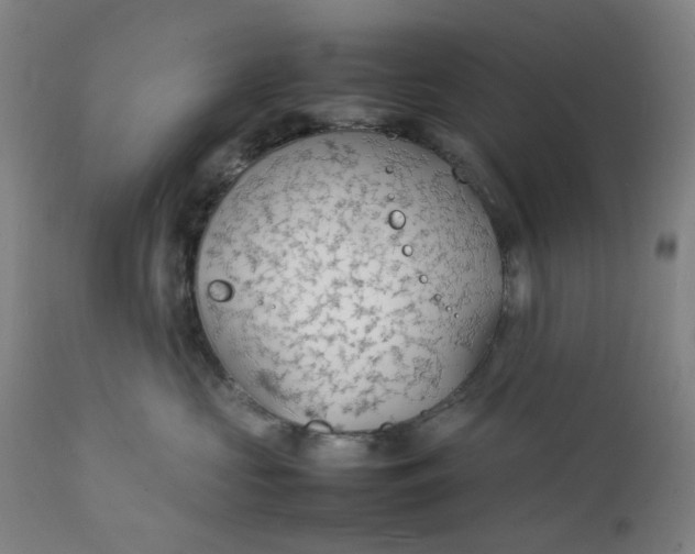 X0000112150573200908281343
