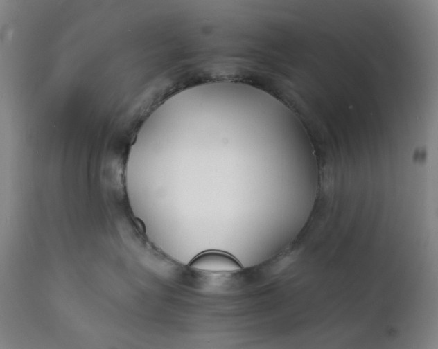 X0000112150575200908281343