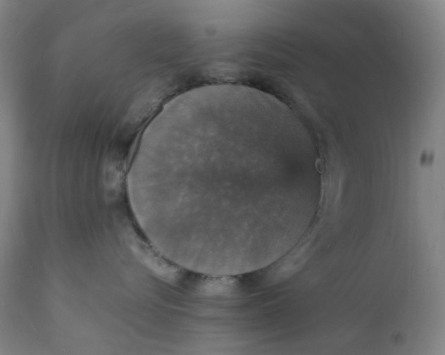 X0000112150576200908281343