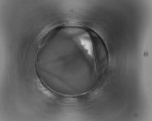 X0000112150577200908281342