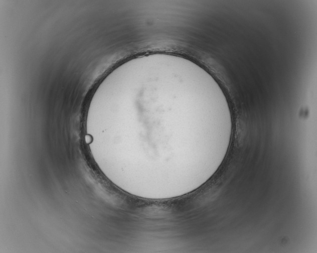 X0000112150578200908281342