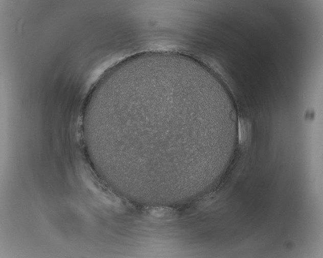 X0000112150579200908281342