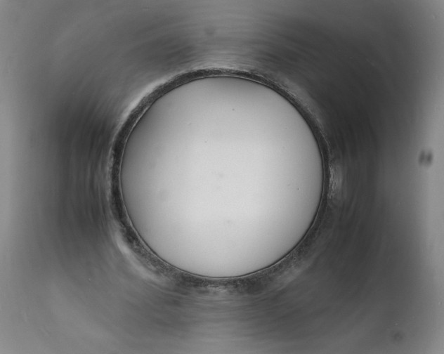 X0000112150580200908281342