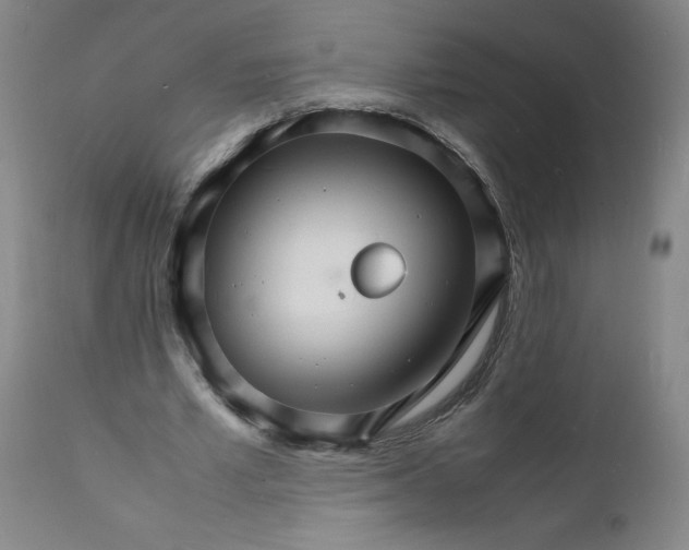 X0000112150581200908281342