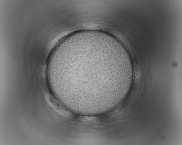 X0000112150583200908281342