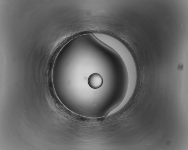 X0000112150587200908281342