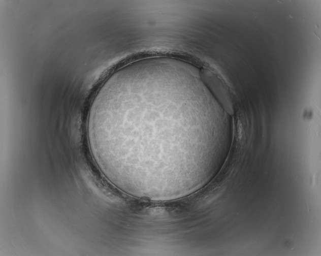X0000112150588200908281342